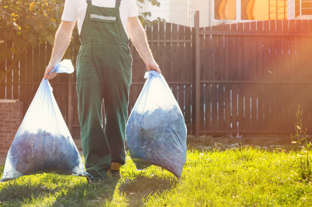 Best Same-Day Junk Removal Services  in Tok, AK