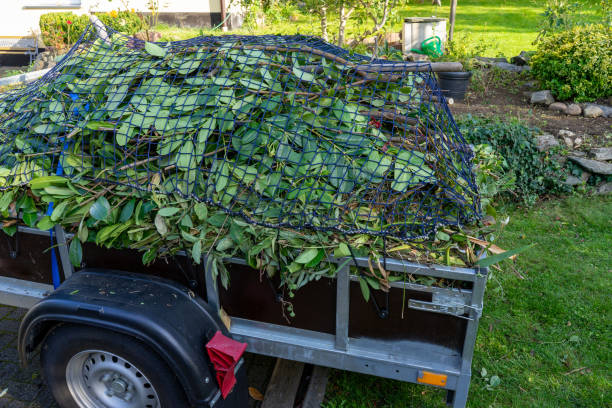 Best Carpet Removal and Disposal  in Tok, AK